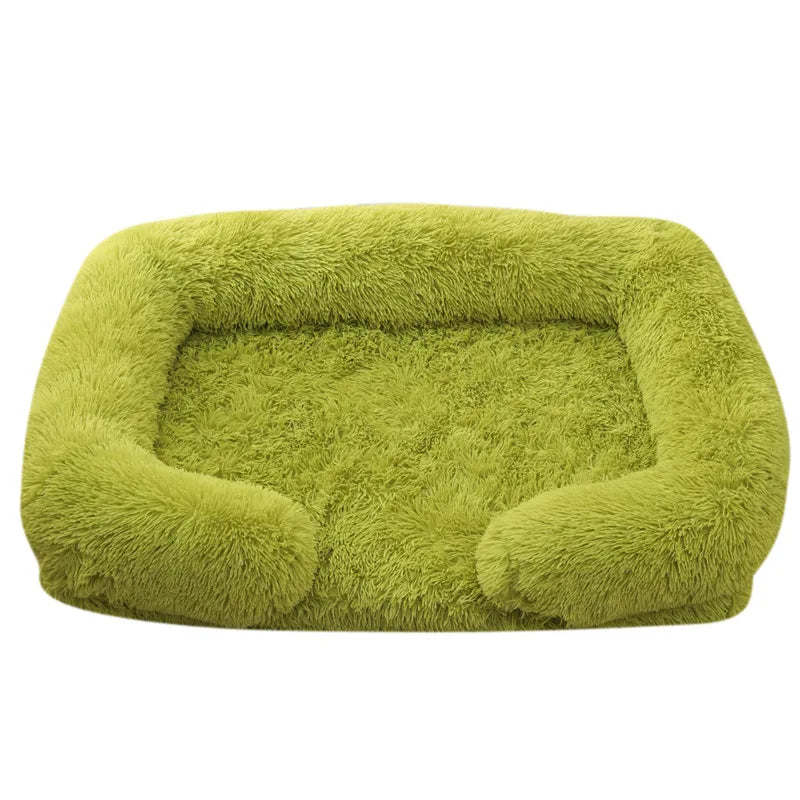 Teddy Bed