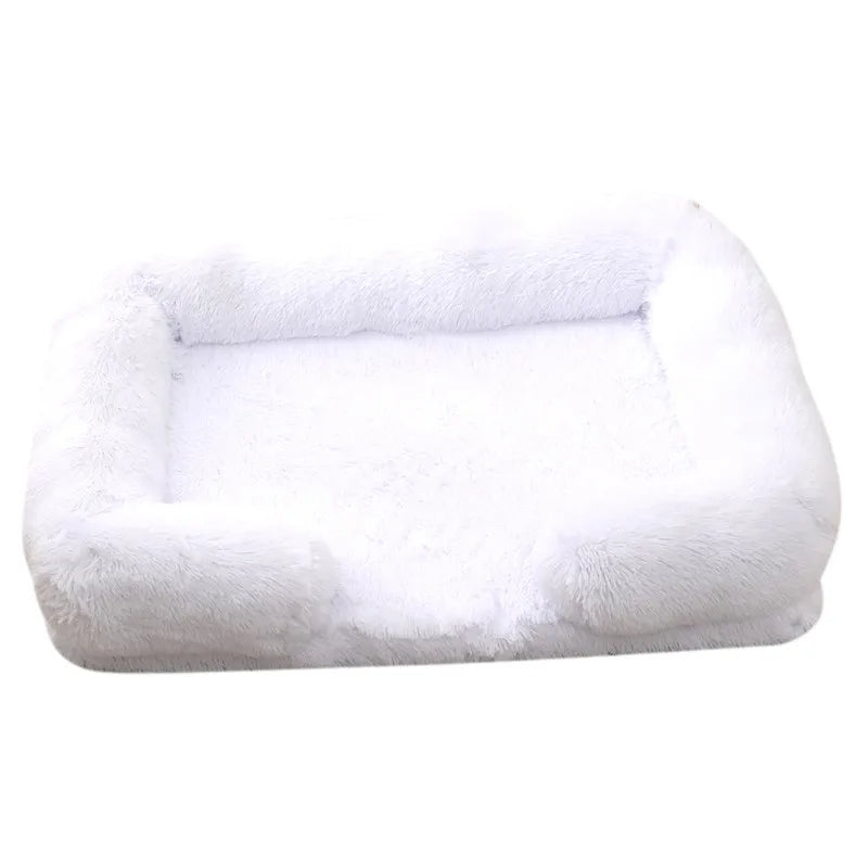 Teddy Bed