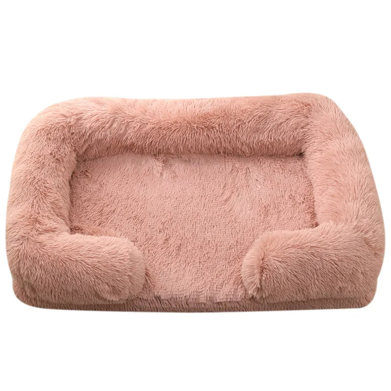 Teddy Bed