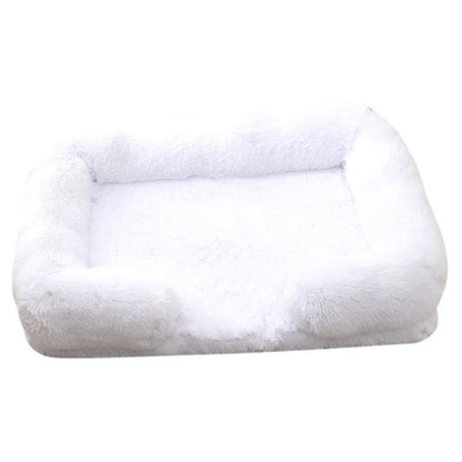 Teddy Bed