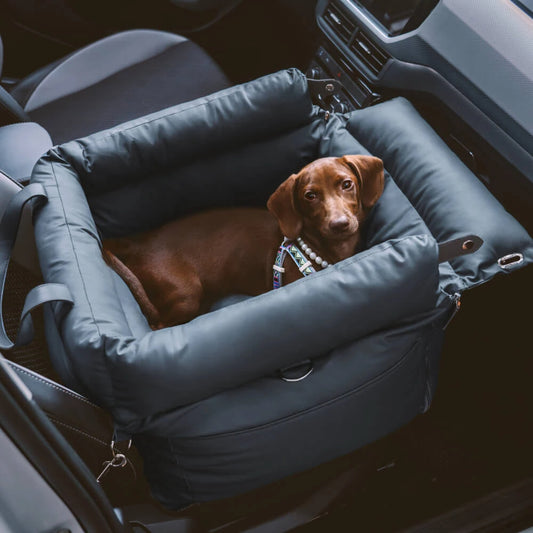 PawSeat