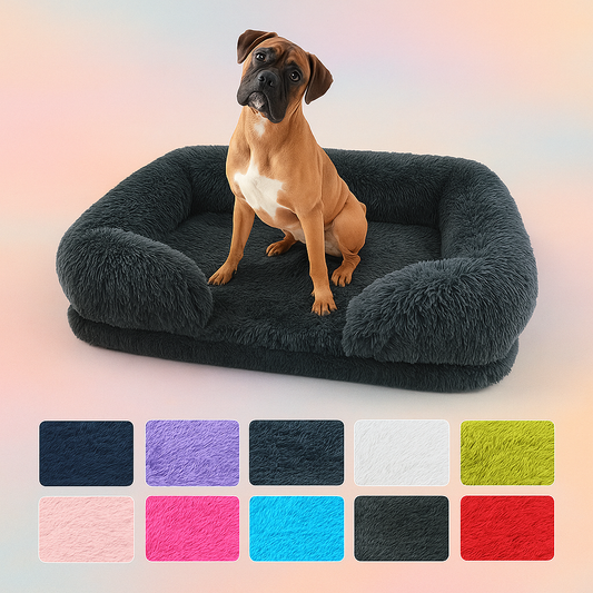 Teddy Bed